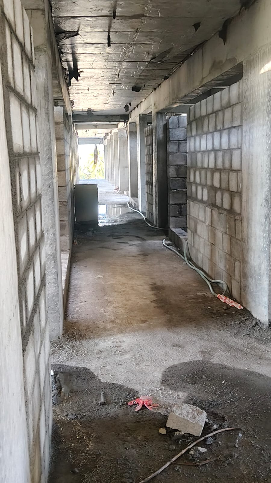 Project Update